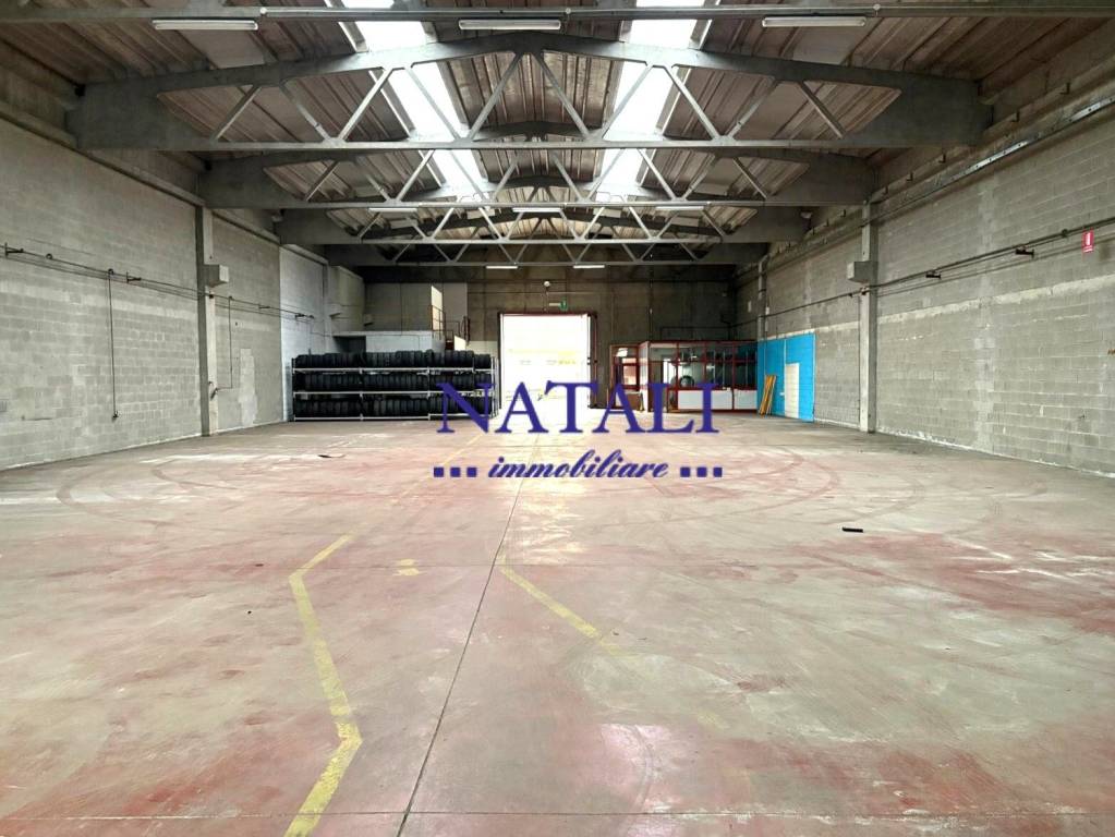 immagine annuncio 4 di 8