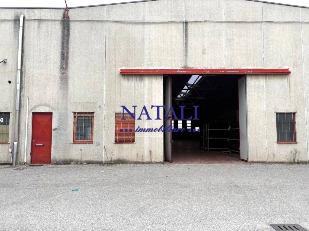 immagine annuncio 5 di 8