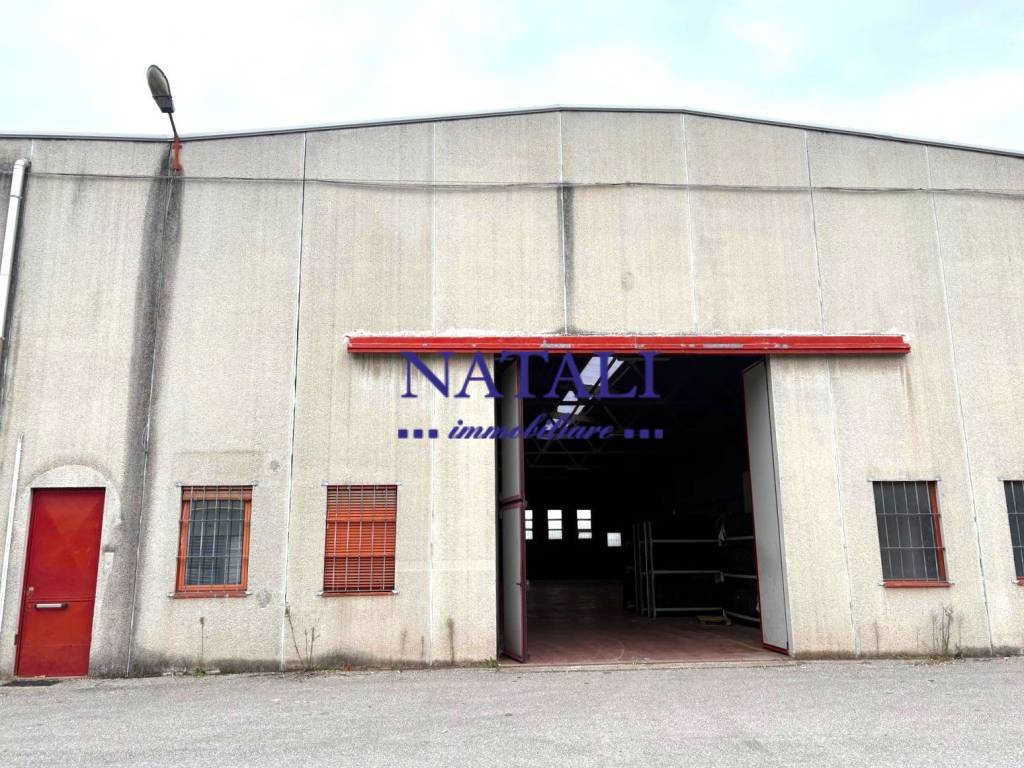 immagine annuncio 6 di 8