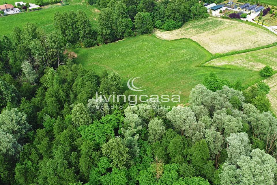 immagine annuncio 2 di 4