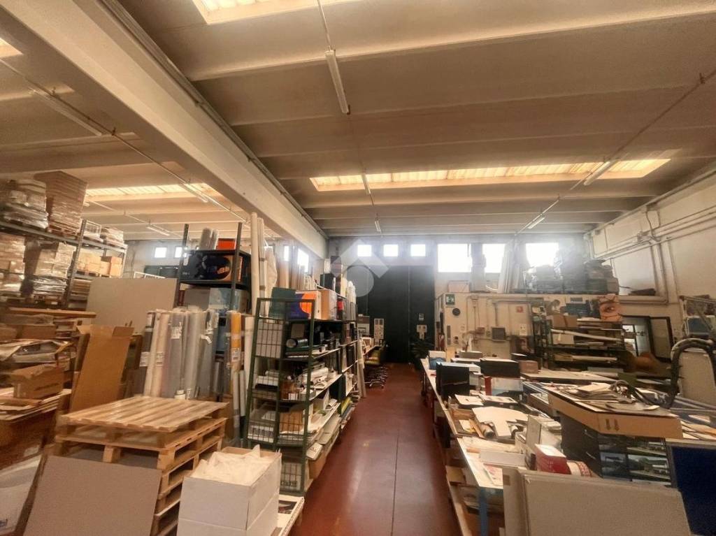 immagine annuncio 3 di 10