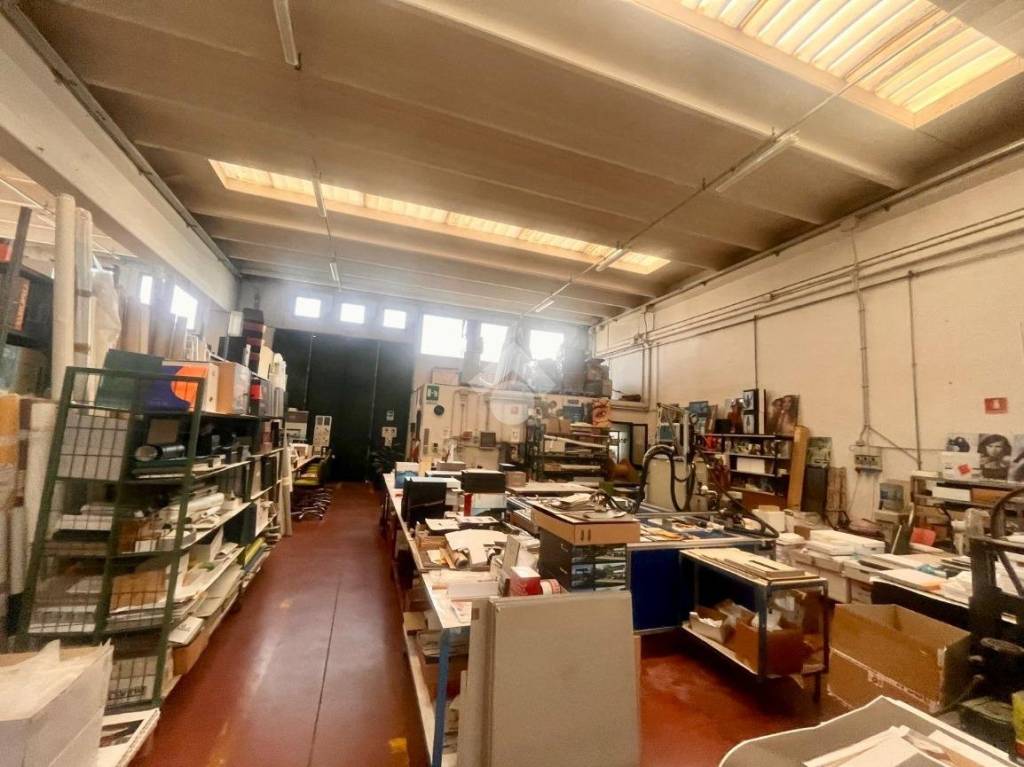 immagine annuncio 5 di 10