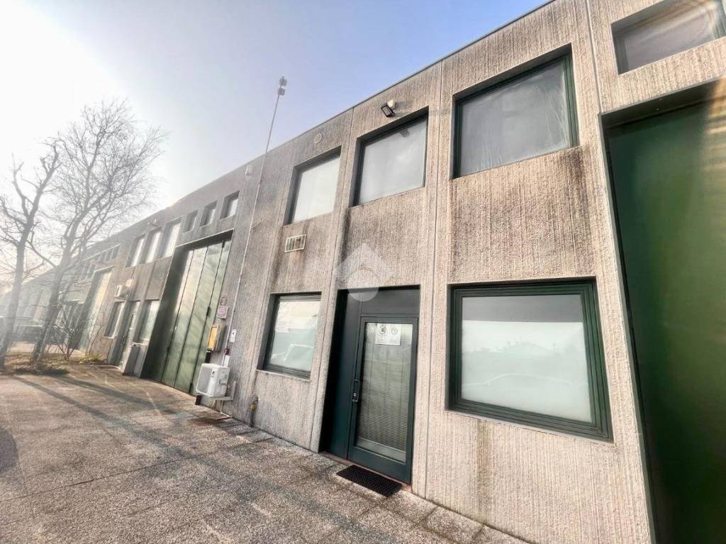 immagine annuncio 6 di 10