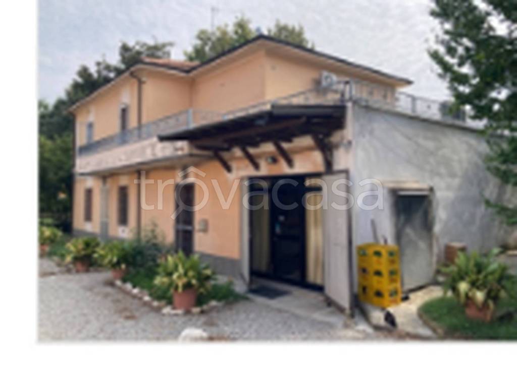 immagine annuncio 8 di 11