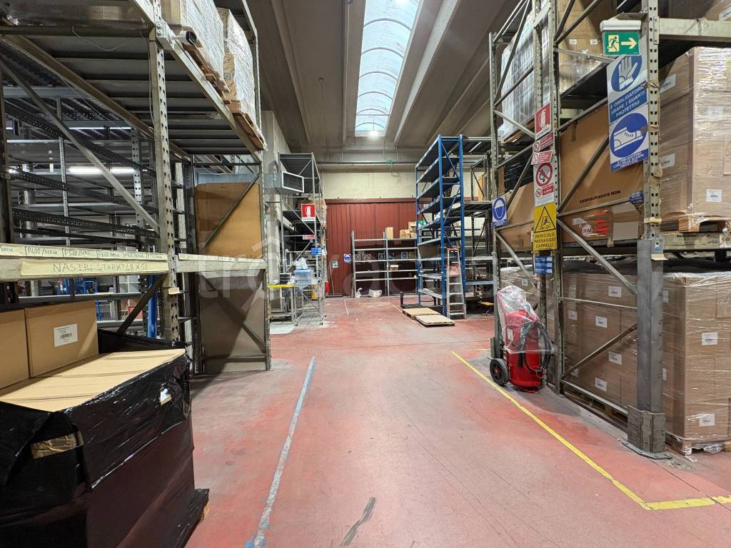 immagine annuncio 9 di 15