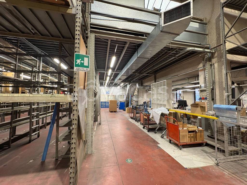 immagine annuncio 10 di 15