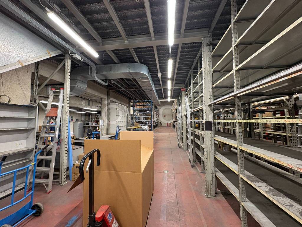 immagine annuncio 11 di 15