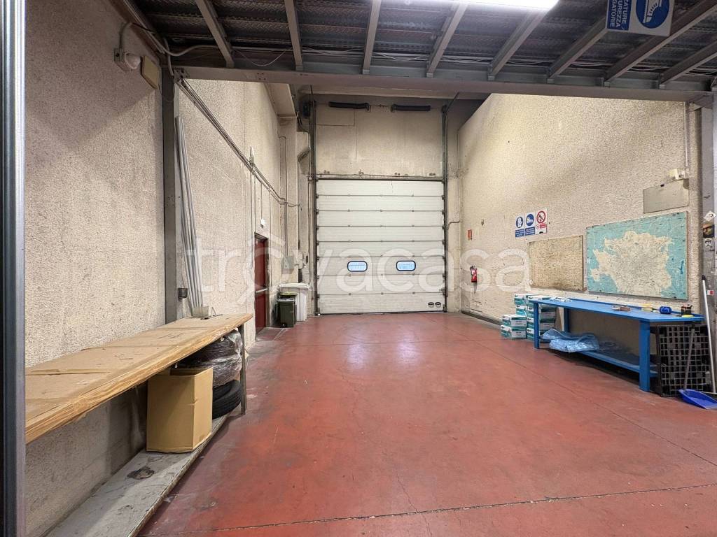 immagine annuncio 12 di 15