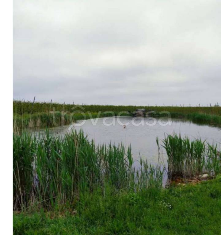 immagine annuncio 8 di 12