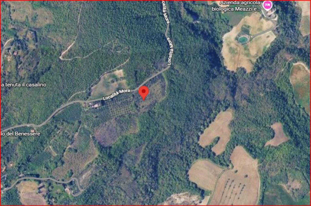 immagine annuncio 11 di 12