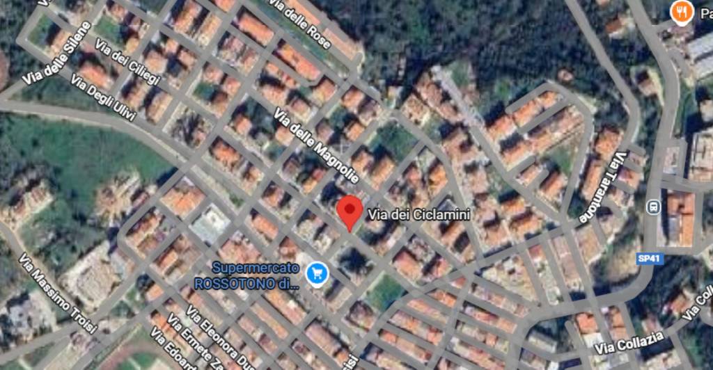 immagine annuncio 5 di 11