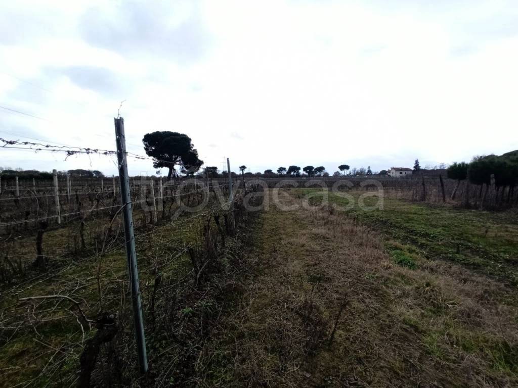 immagine annuncio 7 di 11