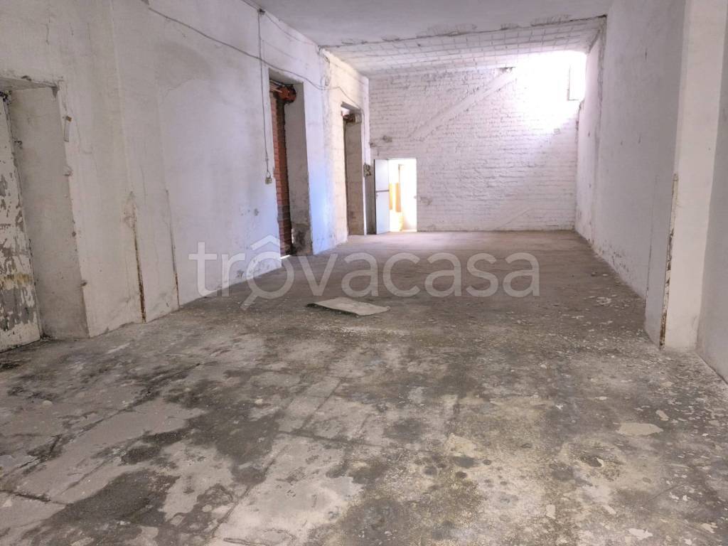 immagine annuncio 5 di 14