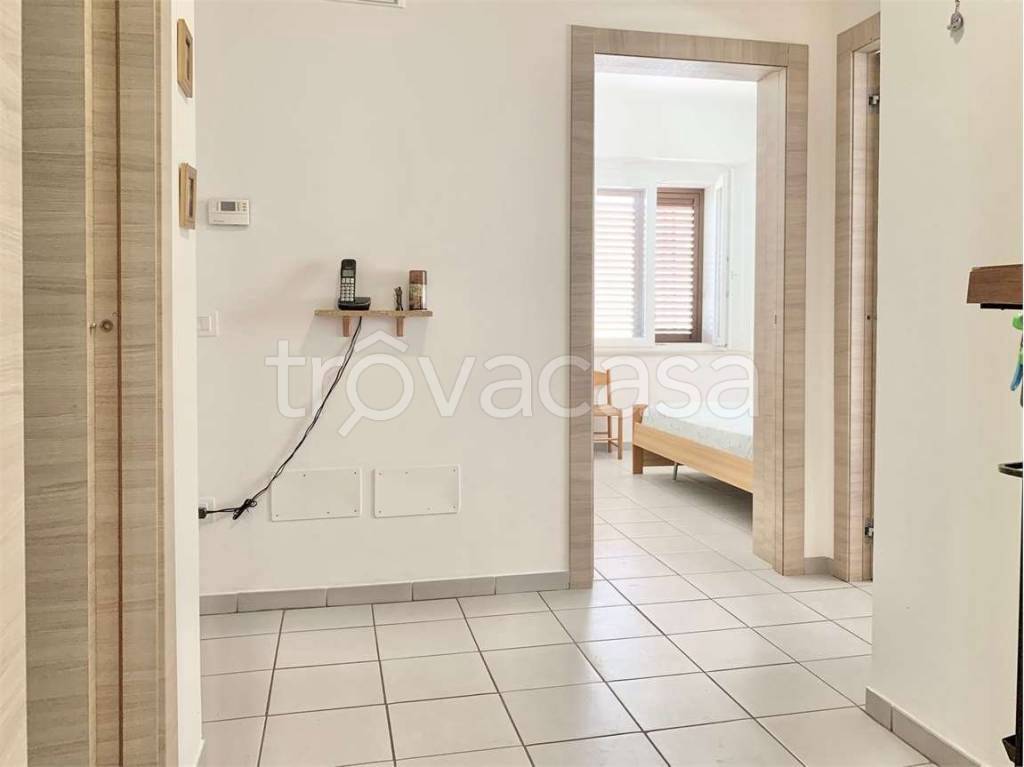 immagine annuncio 2 di 12