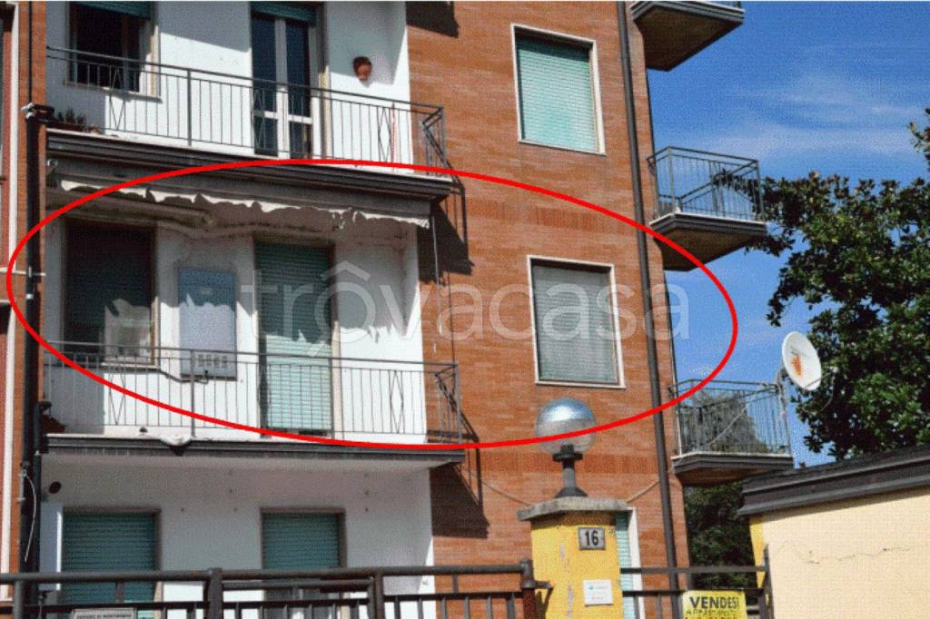 immagine annuncio 2 di 14