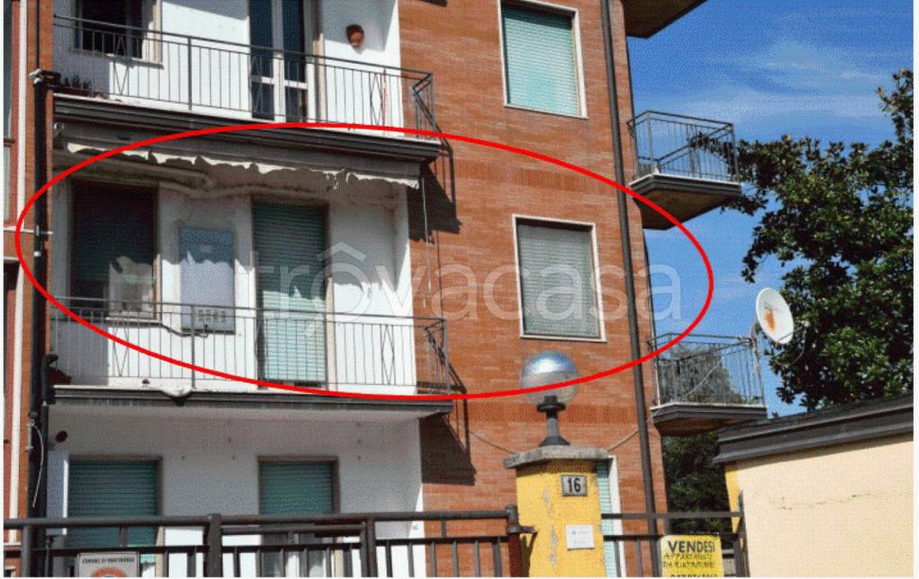 immagine annuncio 3 di 14