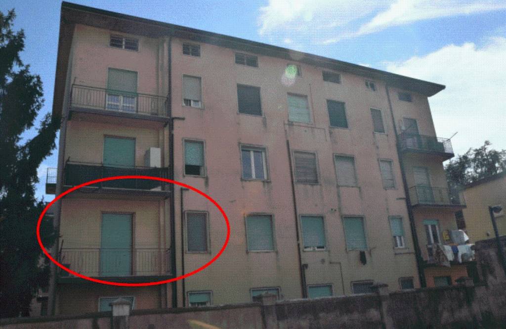 immagine annuncio 4 di 14