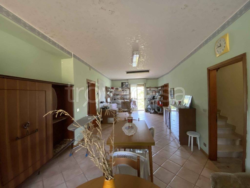 immagine annuncio 4 di 14