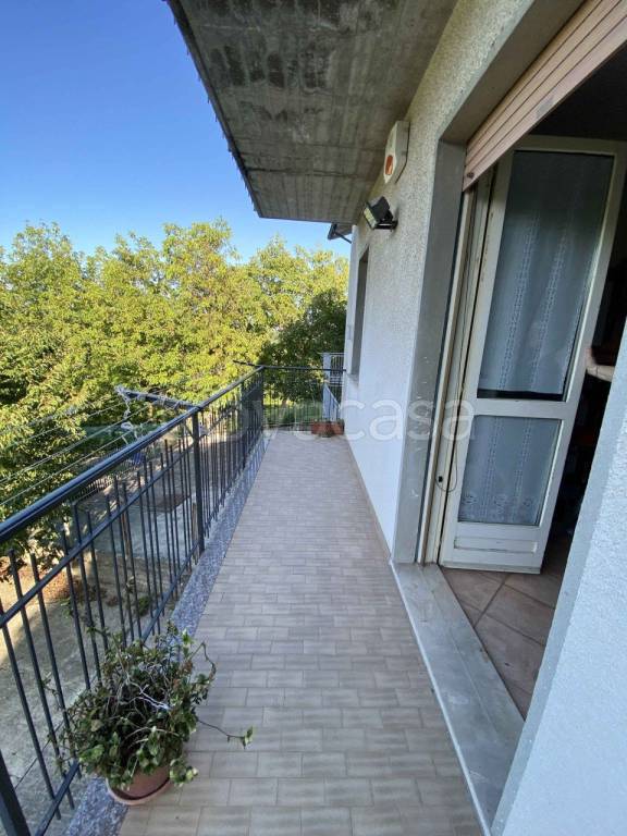 immagine annuncio 7 di 14