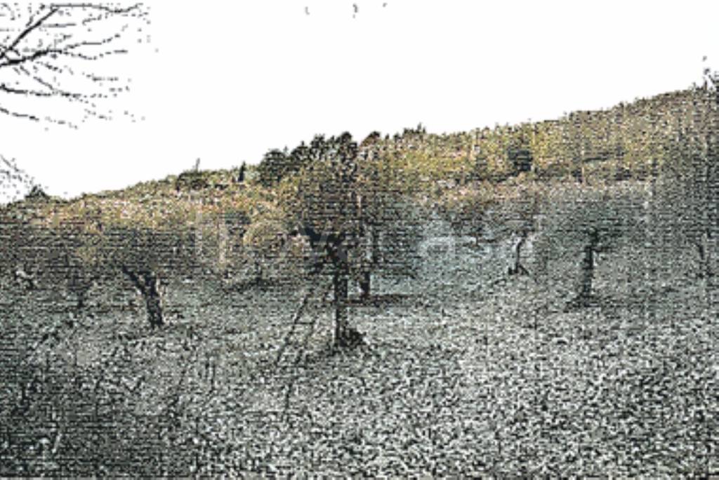 immagine annuncio 5 di 12