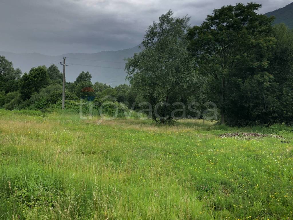 immagine annuncio 2 di 4