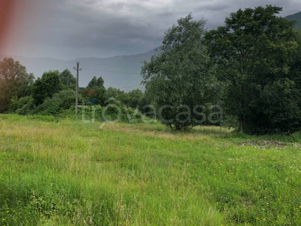 immagine annuncio 3 di 4