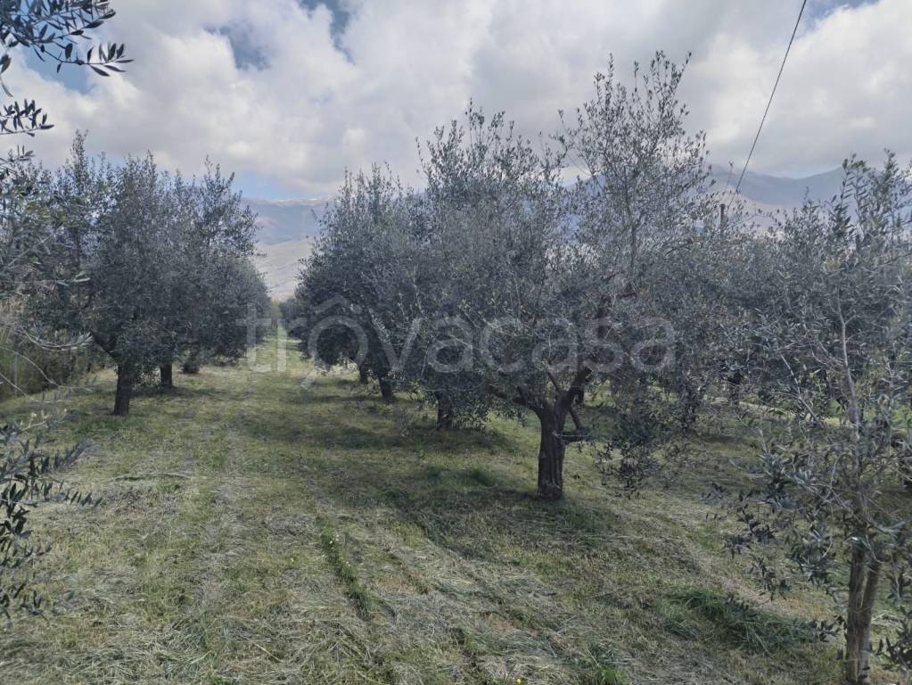 immagine annuncio 1 di 7