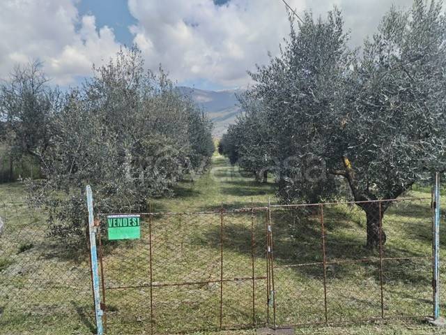 immagine annuncio 3 di 7