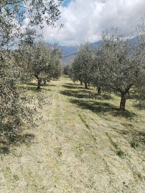 immagine annuncio 4 di 7