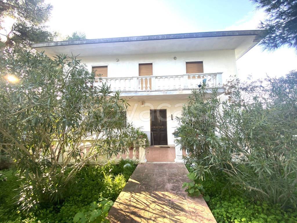 immagine annuncio 4 di 14