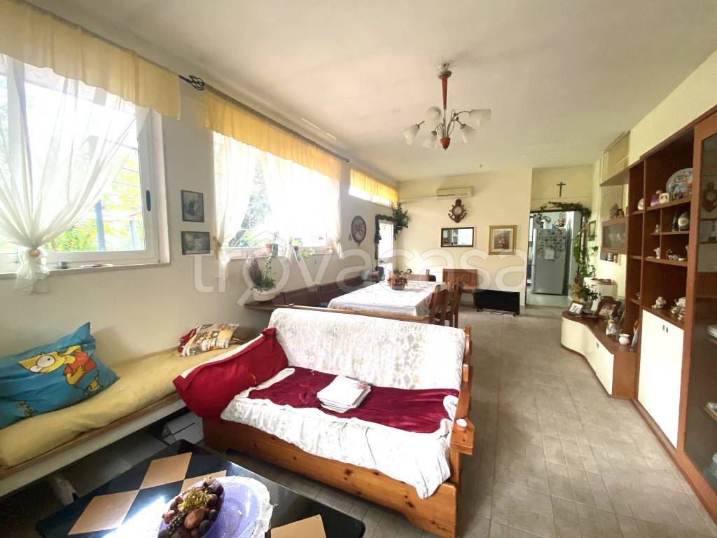 immagine annuncio 10 di 14