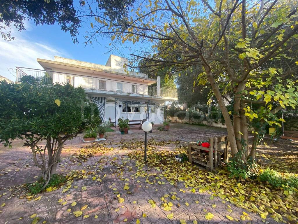 immagine annuncio 2 di 14