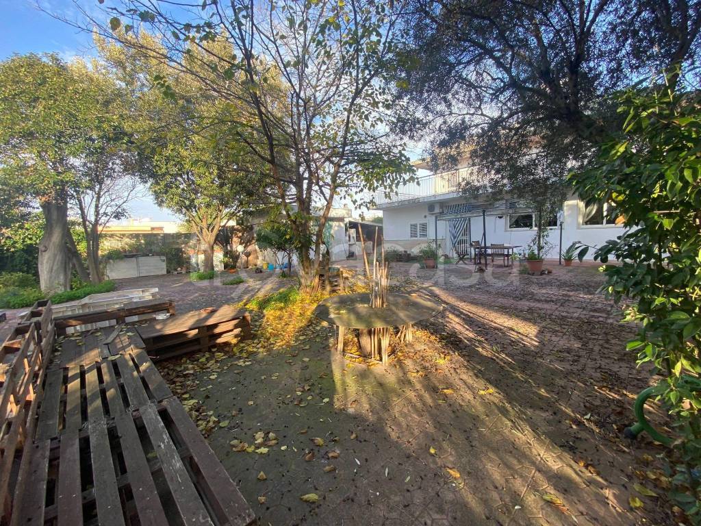 immagine annuncio 6 di 14