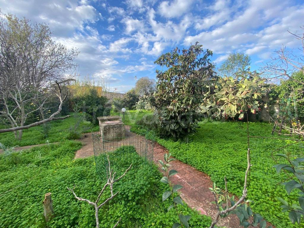 immagine annuncio 3 di 14