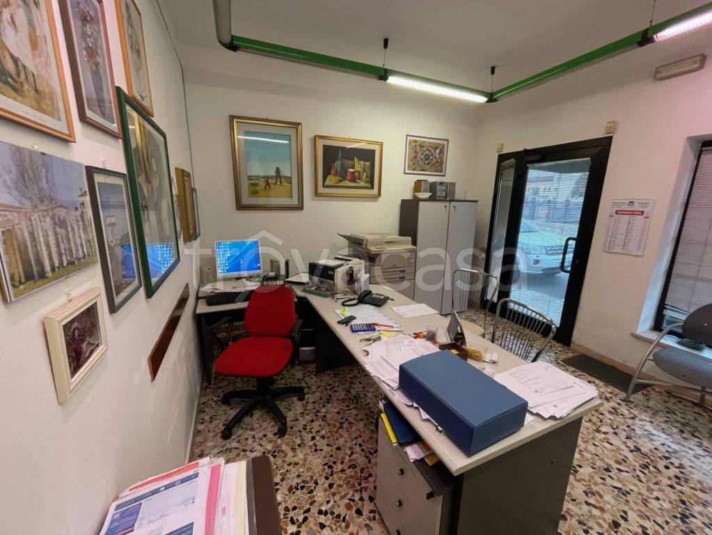 immagine annuncio 12 di 14