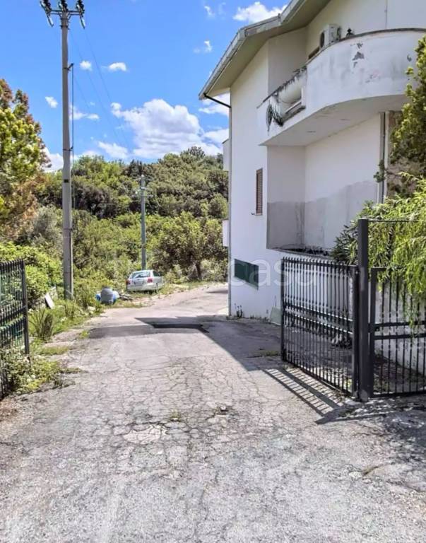 immagine annuncio 3 di 8