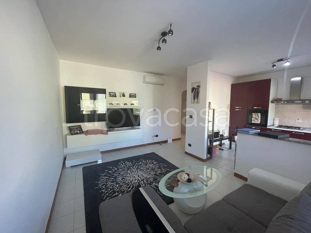 immagine annuncio 3 di 8