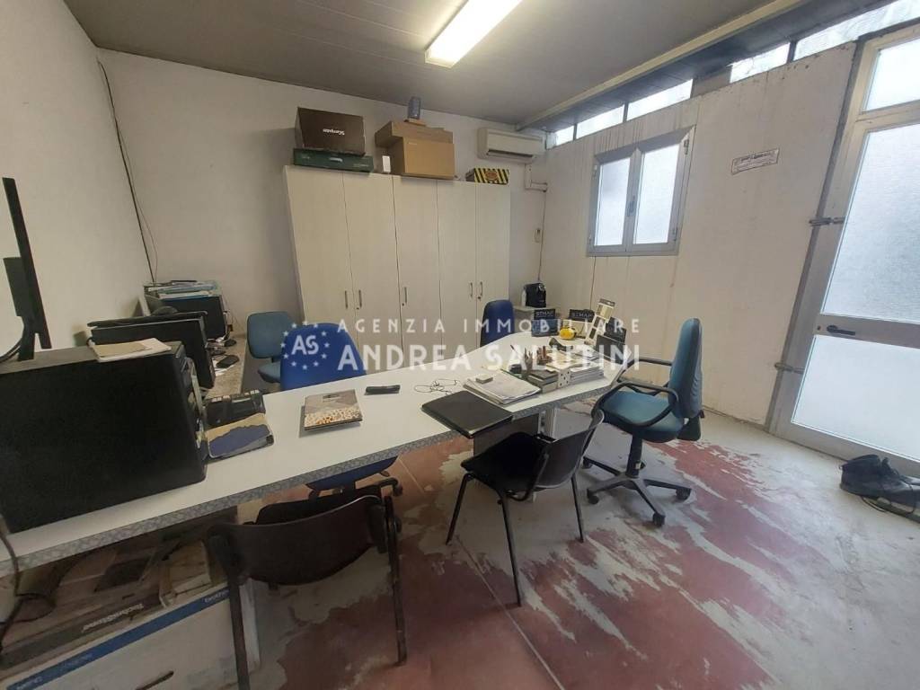 immagine annuncio 10 di 15