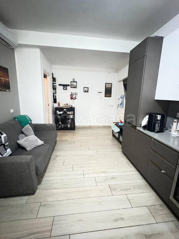 immagine annuncio 3 di 14