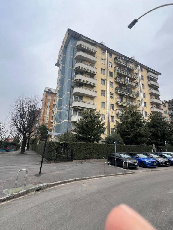 immagine annuncio 11 di 14