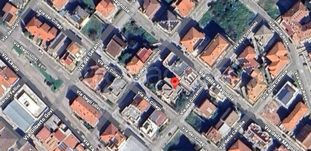 immagine annuncio 1 di 11