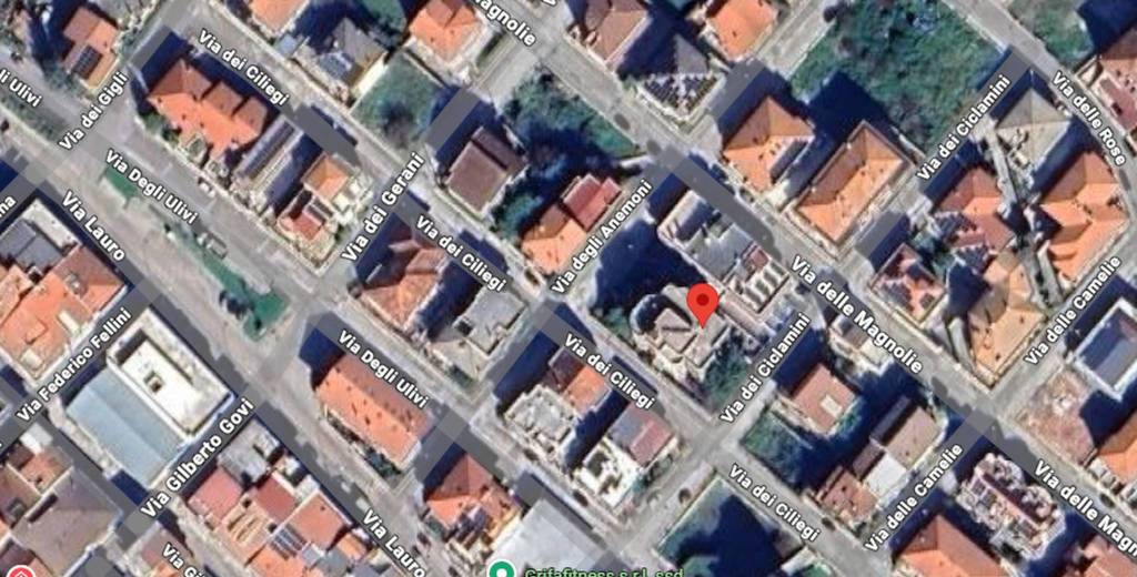 immagine annuncio 2 di 11