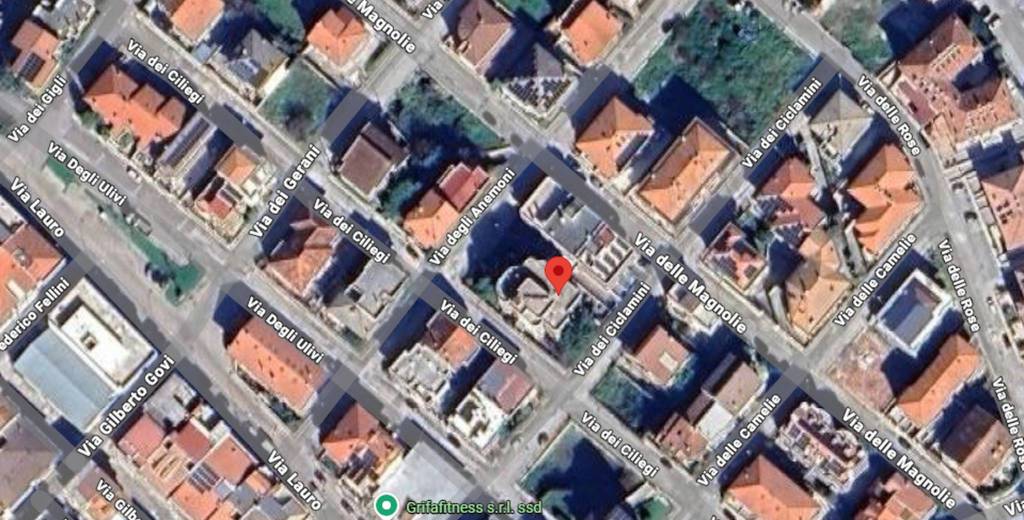 immagine annuncio 3 di 11