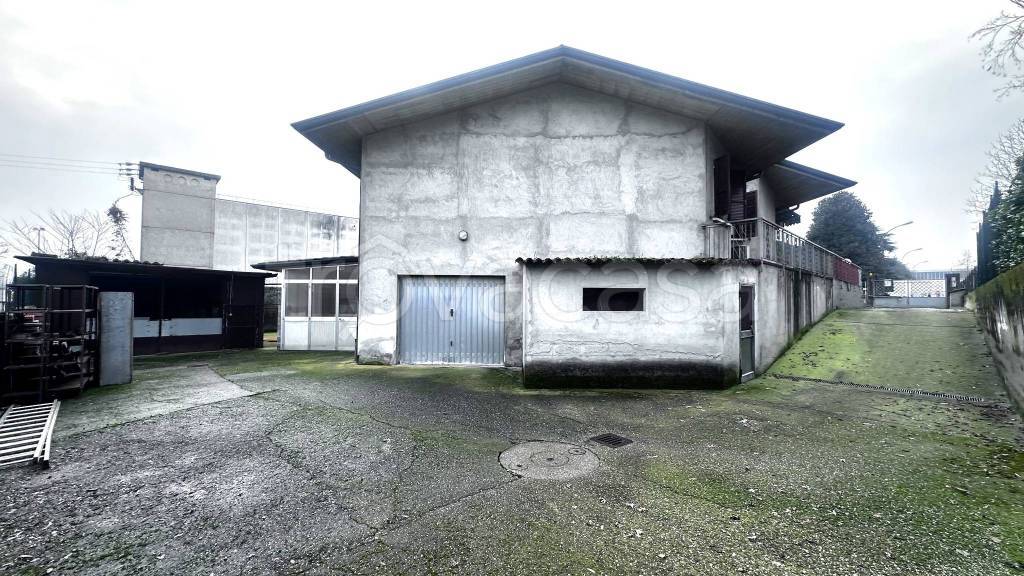 immagine annuncio 6 di 15