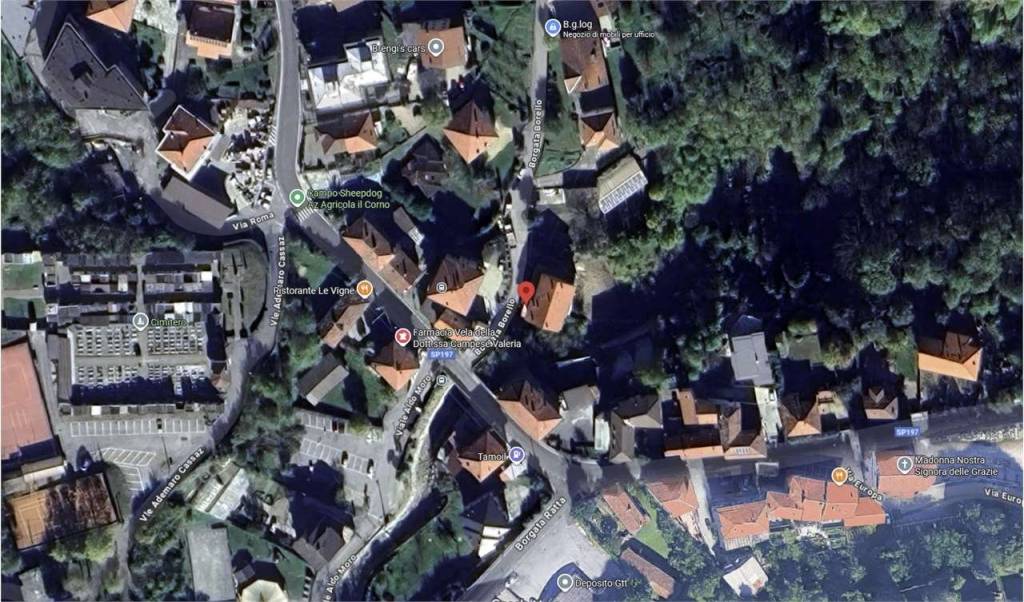 immagine annuncio 3 di 14