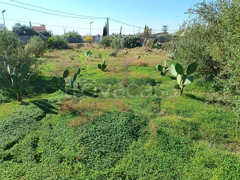 immagine annuncio 6 di 7