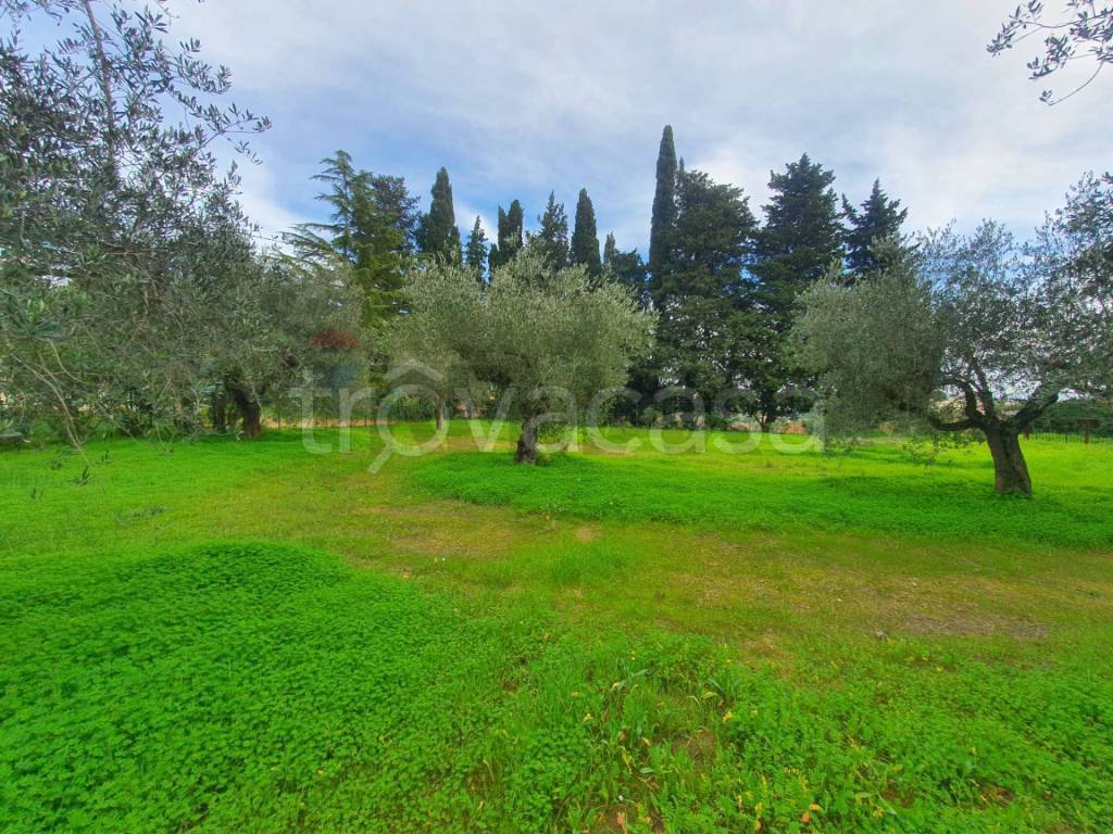 immagine annuncio 1 di 6