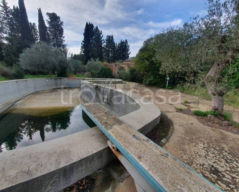 immagine annuncio 3 di 6