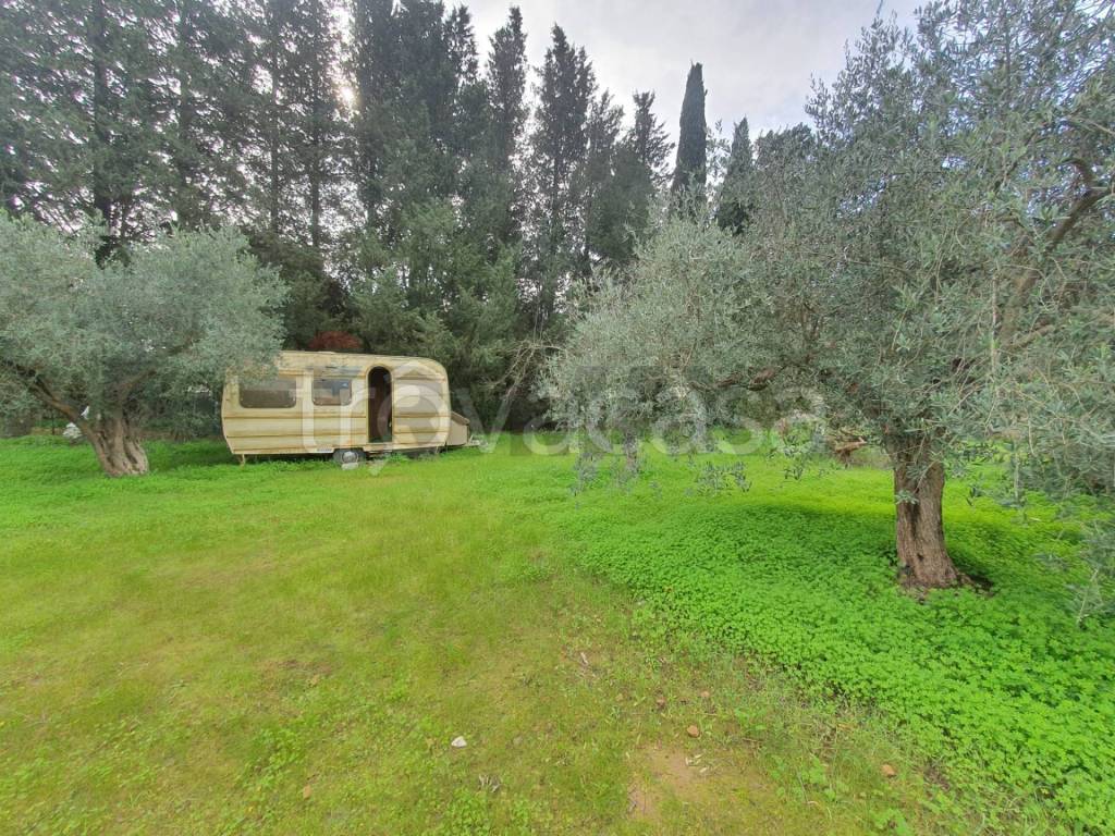 immagine annuncio 4 di 6