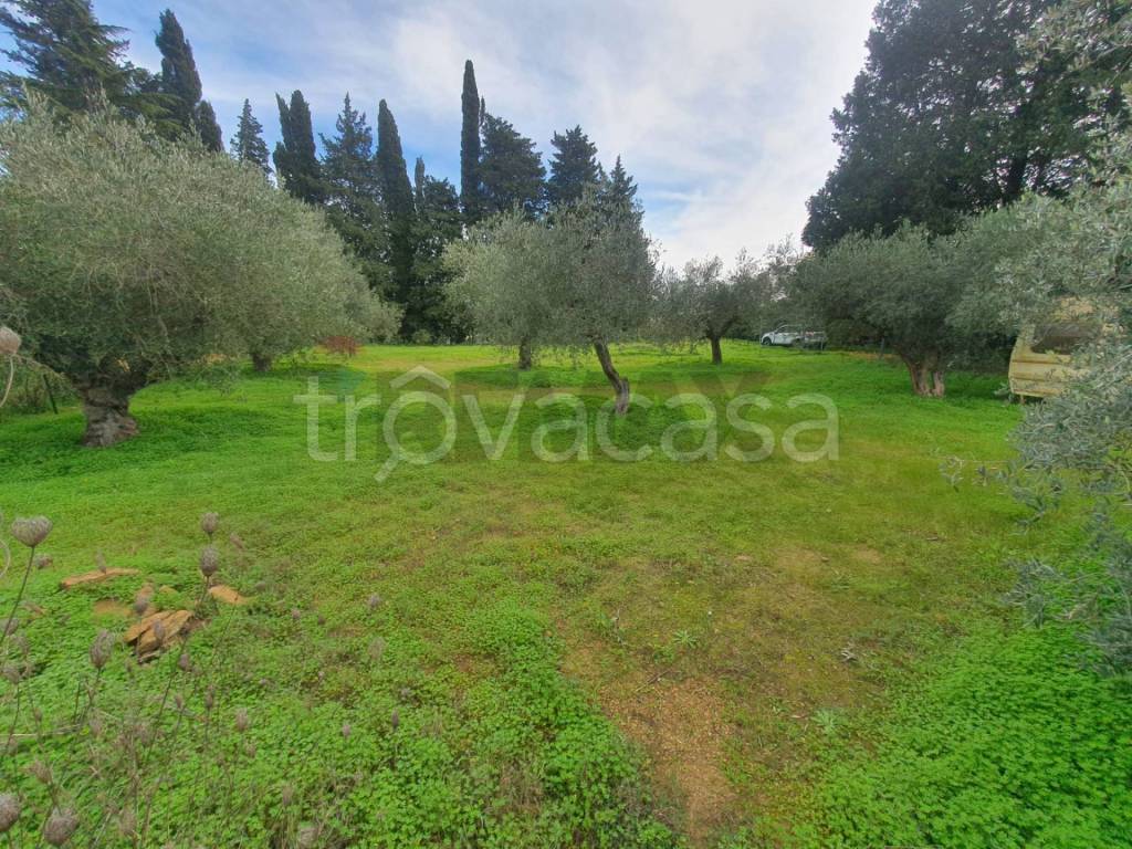 immagine annuncio 5 di 6